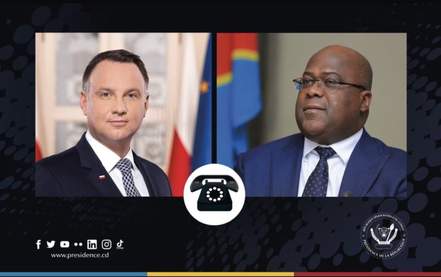RDC : vers l'organisation d'une mission économique polonaise pour promouvoir la coopération entre les deux pays